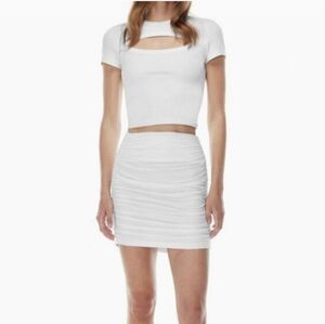 Aritzia 'Babaton' Presto Skirt.